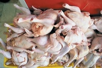 قیمت مرغ به ۱۵ هزار و ۵۰۰ تومان رسید