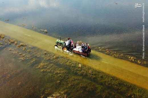 پناه بردن سیل‌زدگان خوزستان به جنگل