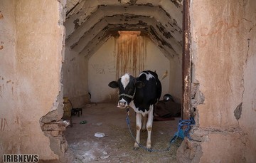 سکونت سیل‌زدگان در زاغه‌ مهمات جنگ حمیدیه