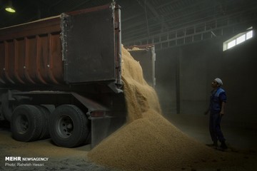 بازگشت زندگی به آق‌قلا