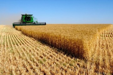 مدیر بانک کشاورزی: ۱۹ هزار میلیارد ریال وام به کشاورزان آذربایجان شرقی پرداخت شد