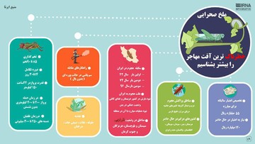 اینفوگرافیک | همه چیز درباره ملخ‌های خطرناکی که به ایران حمله کرده‌اند