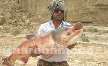 عکس | ماهی ۲۰ کیلویی، هدیه باران به صیاد سیستان و بلوچستانی