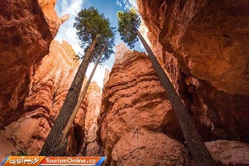 پارک ملی برایس کنیون آمریکا