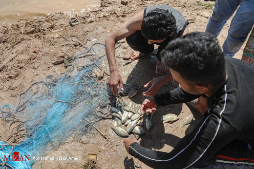 صید ماهی در سیلاب خوزستان