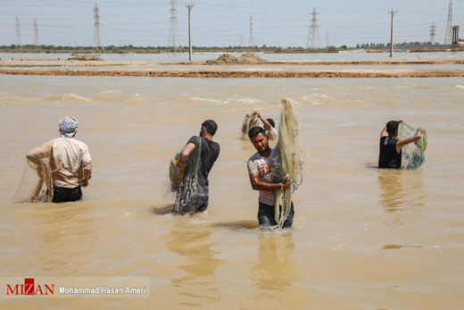 صید ماهی در سیلاب خوزستان