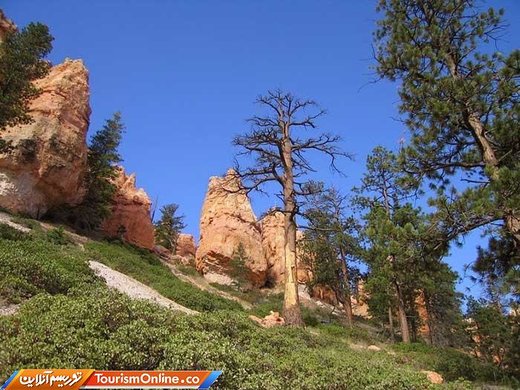پارک ملی برایس کنیون آمریکا