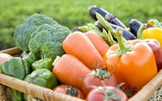 هشدار برای گیاه‌خواران: کمبود شدید ویتامین B ۱۲ در کمین است