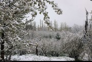 برف و سرما بعضی مدارس را در اردبیل تعطیل کرد