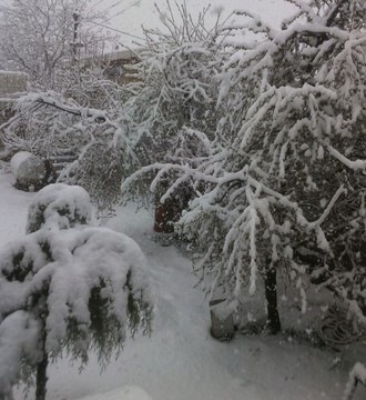 بارش برف در سی و سومین روز بهار در ارومیه 