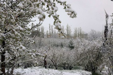 بارش برف در ارومیه