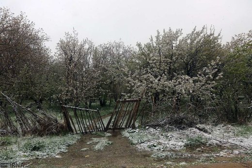 بارش برف در ارومیه