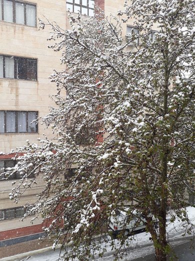 بارش برف در ارومیه | اردیبهشت 98
