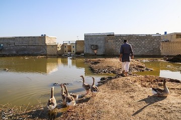 سیلاب در روستای حدبه شادگان