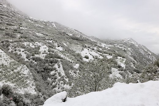 بارش برف در اشکورات گیلان
