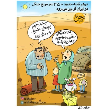 تا نیم ساعت پیش، این‌جا جنگل بود! 