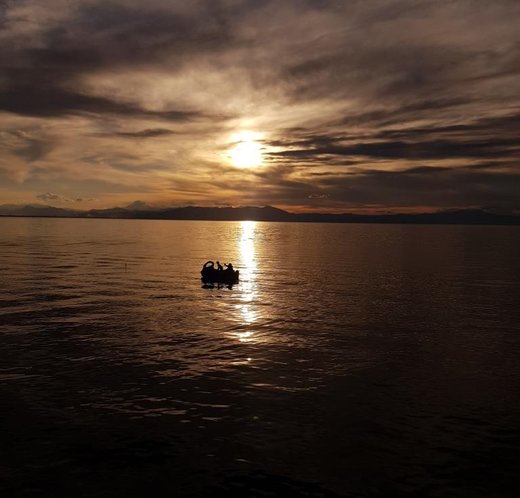 کاهش نیم متری تراز دریاچه ارومیه در یک سال اخیر