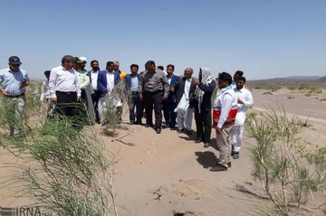 آلوده شدن 300 هکتار از مراتع ریگان به ملخ صحرایی