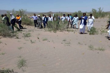 آلوده شدن 300 هکتار از مراتع ریگان به ملخ صحرایی