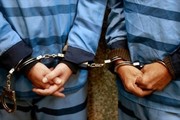 دستگیری ۳ قاچاقچی داروهای یارانه‌ای در پایتخت