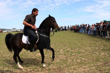 نهمین جشنواره ملی کوچ عشایر مغان