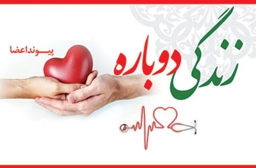  ۲۷۰۰۰ نفر در لیست انتظار پیوند عضو/ سالانه چند عضو در کشور اهدا می‌شود؟