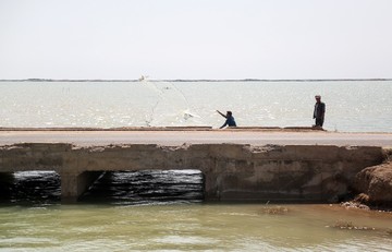 سیلاب در جاده شادگان