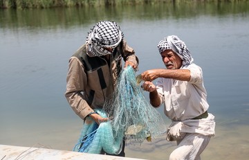 سیلاب در جاده شادگان