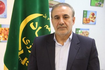  وجود بیش از ۲۰۰ هزار هکتار گندم و جو دیم در لرستان