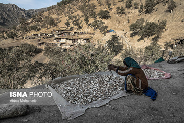 زنان قوم لُر استان لرستان