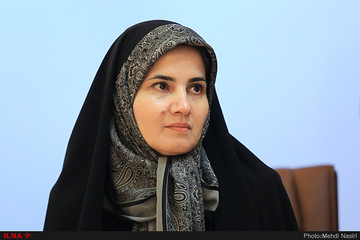 جنیدی، معاون حقوقی روحانی: دولت درباره اف‌ای‌تی‌اف هنوز روی دیدگاه خودش است/ قدرت پیامبرگونه ندارم که از آینده خبر داشته باشم