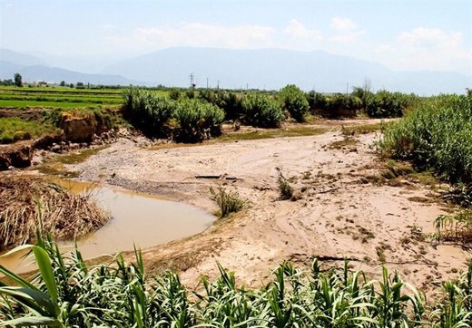 خسارت ۳۰۰ میلیارد تومانی سرمای بهاره به کشاورزی آذربایجان‌غربی