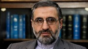 سخنگوی قوه قضایی به بازداشت فروزان و همسرش واکنش نشان داد