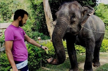 عکس | موز دادن کامبیز دیرباز به یک فیل در تایلند