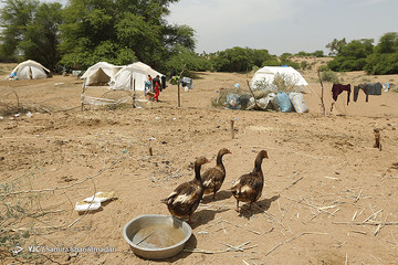 زندگی در اردوگاه خسرج حمیدیه