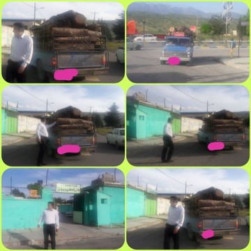 دستگیری قاچاقچی حمل چوب در خرم‌آباد