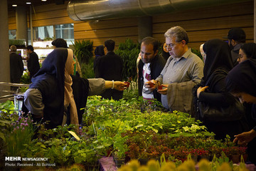 هفدهمین نمایشگاه بین‌المللی گل و گیاه در تهران
