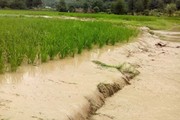 فرماندار سیروان: ۱۰۴ هکتار زمین کشاورزی برای همیشه از دست رفت