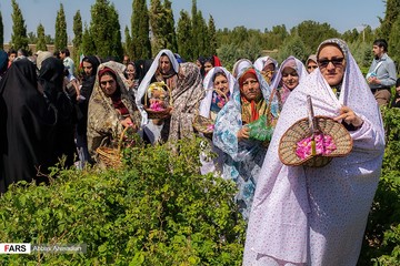 آیین گل‌غلتان نوزادان در امیریه