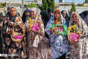 آیین گل‌غلتان نوزادان در امیریه