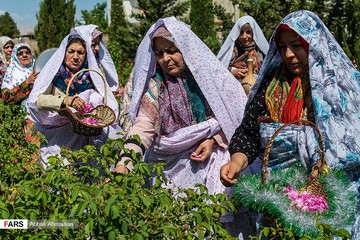 آیین گل‌غلتان نوزادان در امیریه