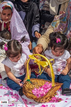 آیین گل‌غلتان نوزادان در امیریه