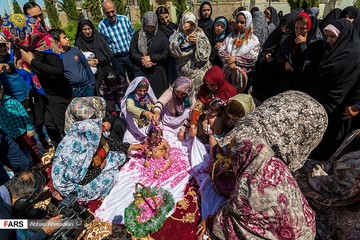 آیین گل‌غلتان نوزادان در امیریه