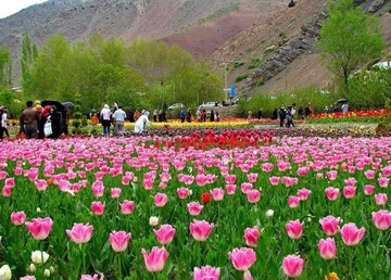 بیست و یکمین جشنواره لاله‌ها در گچسر البرز