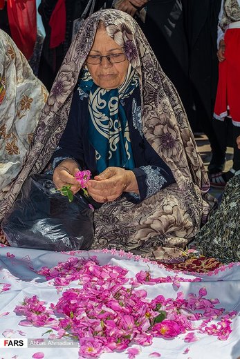 آیین گل‌غلتان نوزادان در امیریه