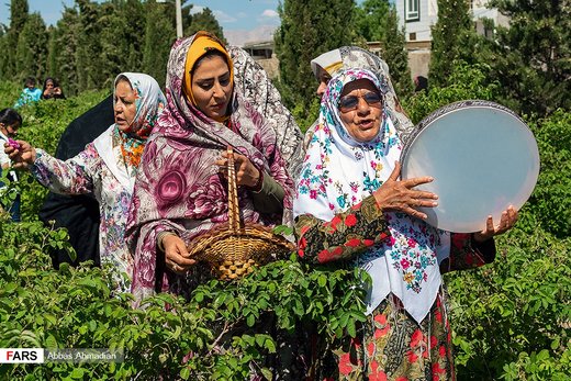 آیین گل‌غلتان نوزادان در امیریه