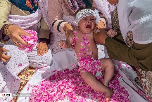 آیین گل‌غلتان نوزادان در امیریه