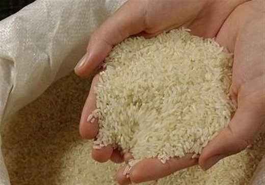 برنج با ارز ۴۲۰۰ تومانی وارد می‌شود/ کمبود برنج نداریم