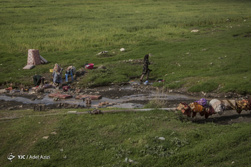 سیل‌زدگان لرستانی در پناه طبیعت