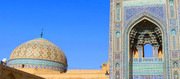 هجوم موریانه به مسجد جامع یزد | کاه زمینه مناسبی برای تغذیه موریانه‌ها فراهم کرده است